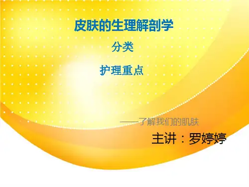 3、皮肤解剖学培训课件