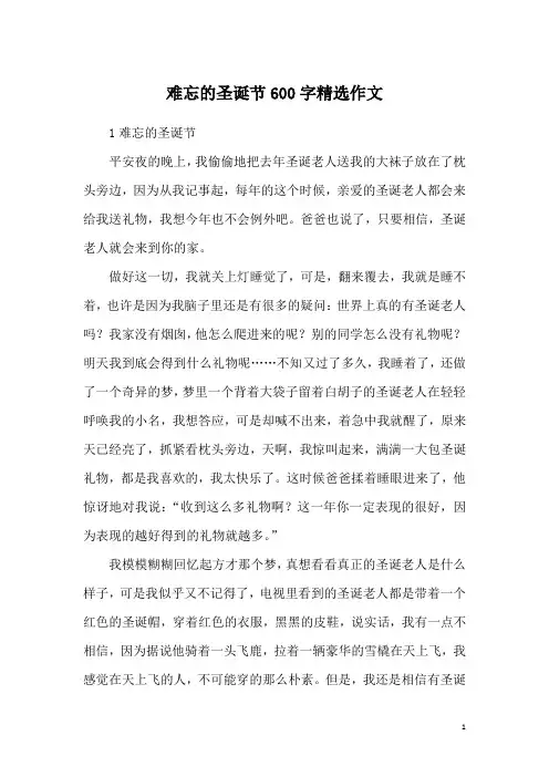 难忘的圣诞节600字精选作文