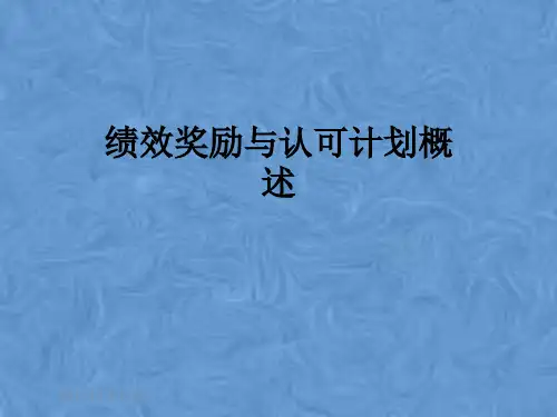 绩效奖励与认可计划概述