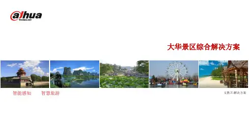 大华景区综合解决方案 V1803-1