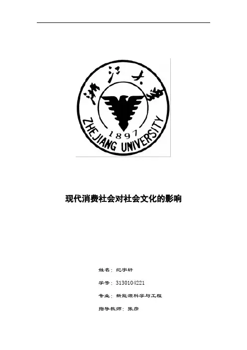 现代消费社会对社会文化的影响