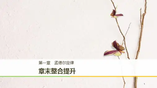 高中生物 第一章 孟德尔定律章末整合提升课件 浙科版必修2.pptx