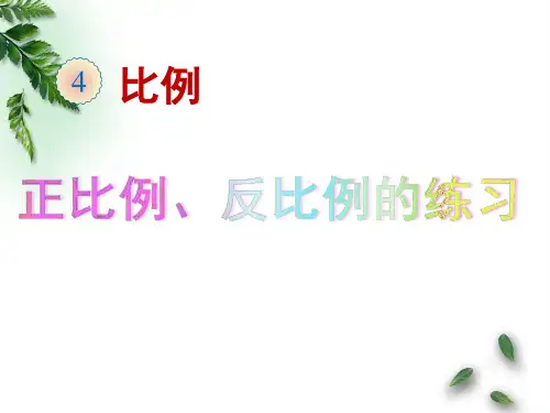 人教版六年级数学下册正比例和反比例的练习课件