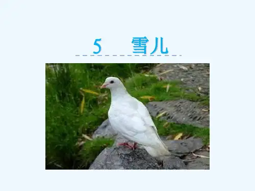 5雪儿_精品文档