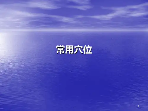 中医常用穴位