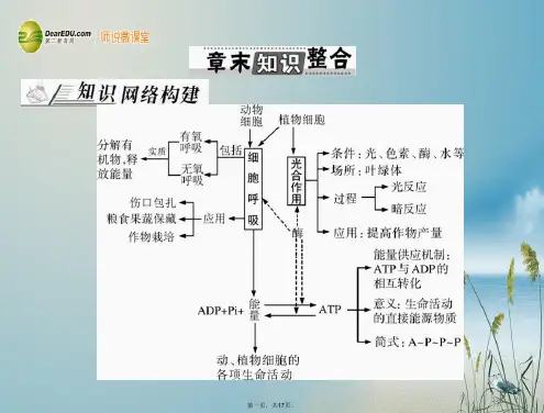 高考生物总复习 第5章 章末知识整合课件 新人教版必修1 