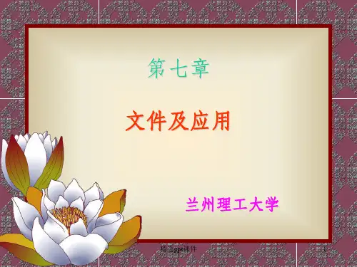C语言第7章_文件及应用