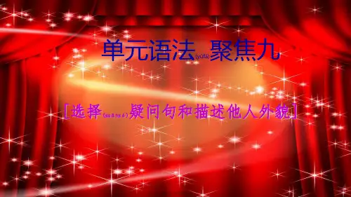 七年级英语下册 Unit 9 What does he look like语法聚焦九课件