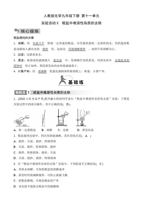 人教版化学九年级下册知识点及课时测  第十一单元实验活动8 粗盐中难溶性杂质的去除
