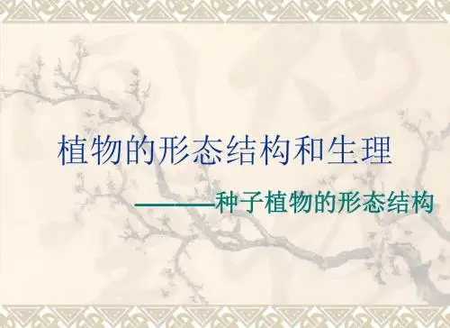 植物的形态结构和生理(高中生物竞赛辅导)