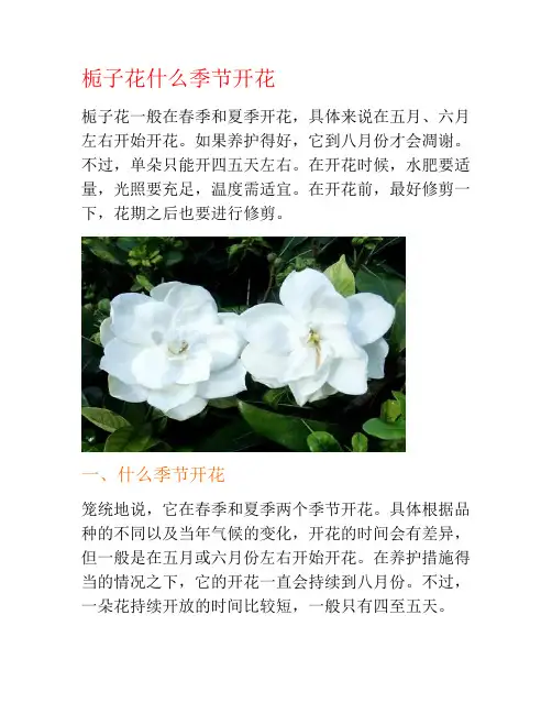 栀子花什么季节开花