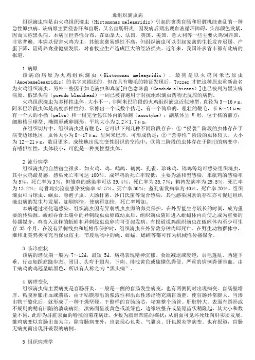 禽组织滴虫病