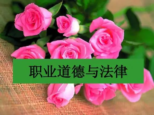 职业道德与法律导言