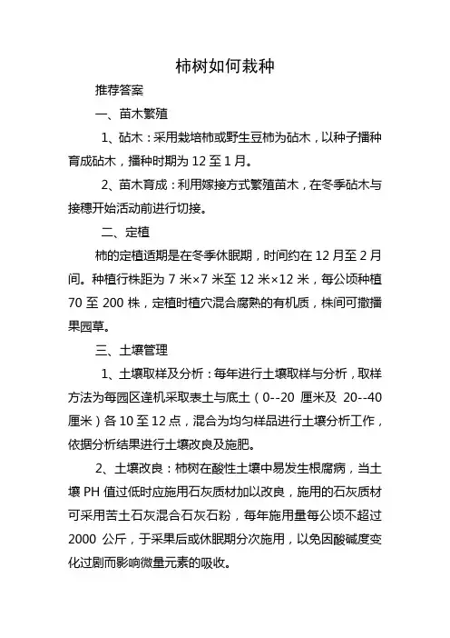 柿树如何栽种