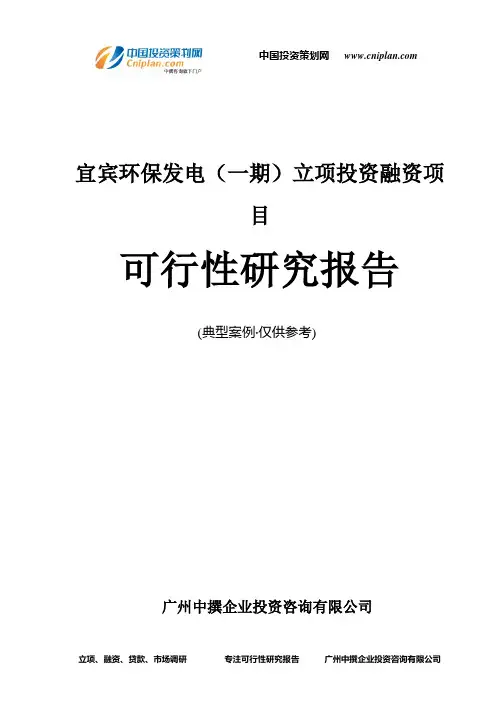 宜宾环保发电(一期)融资投资立项项目可行性研究报告(非常详细)