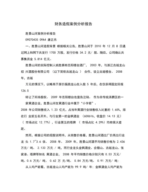 财务造假案例分析报告