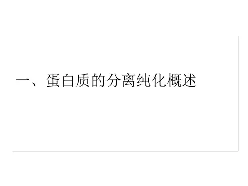 蛋白的分离纯化详解