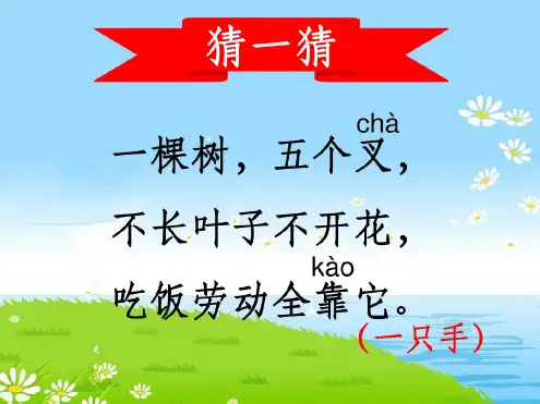 我有一双小小手ppt课件
