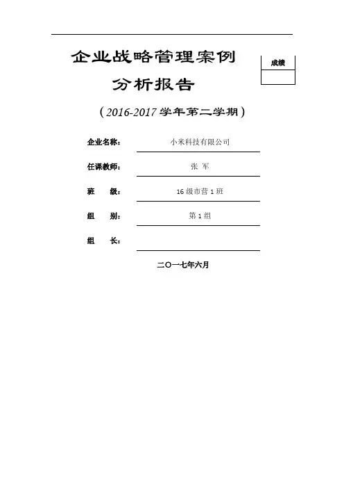 企业战略分析报告