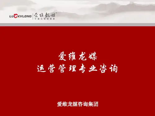 爱维龙媒:运营管理咨询