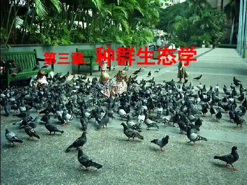 农业生态学 第3章 种群