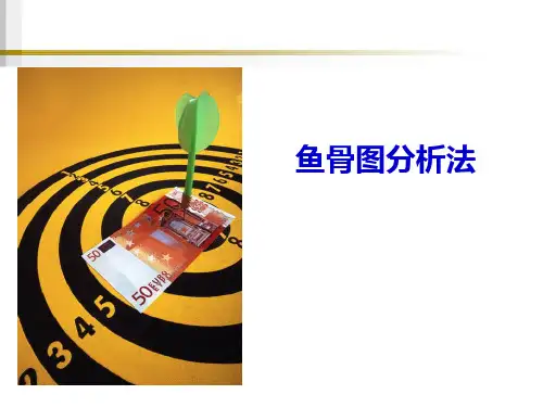 鱼骨图分析法实例PPT模板