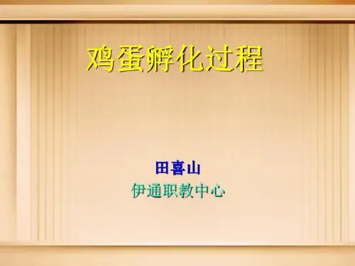 鸡蛋孵化过程的学习资料68页PPT