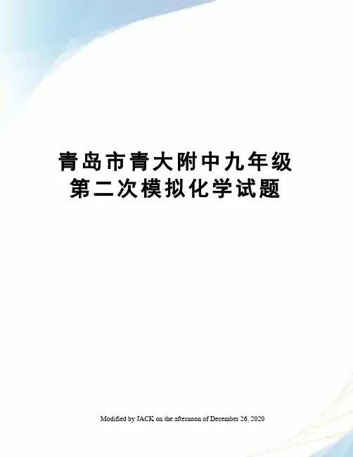 青岛市青大附中九年级第二次模拟化学试题