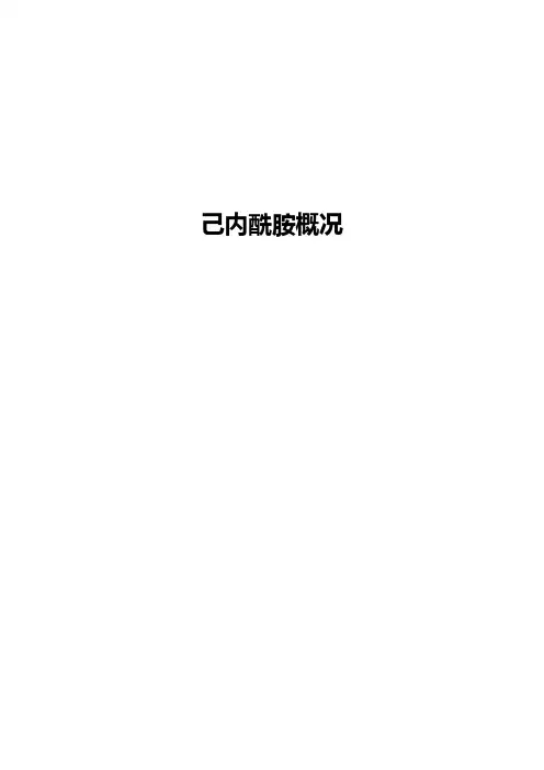 己内酰胺生产技术