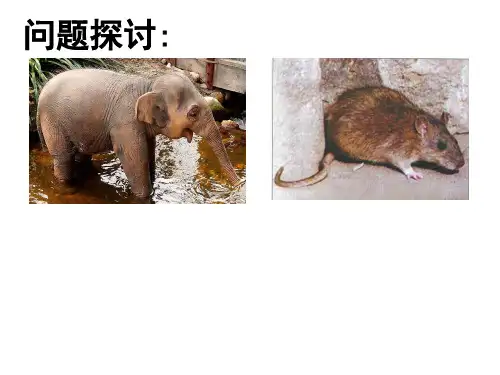 细胞不能无限长大