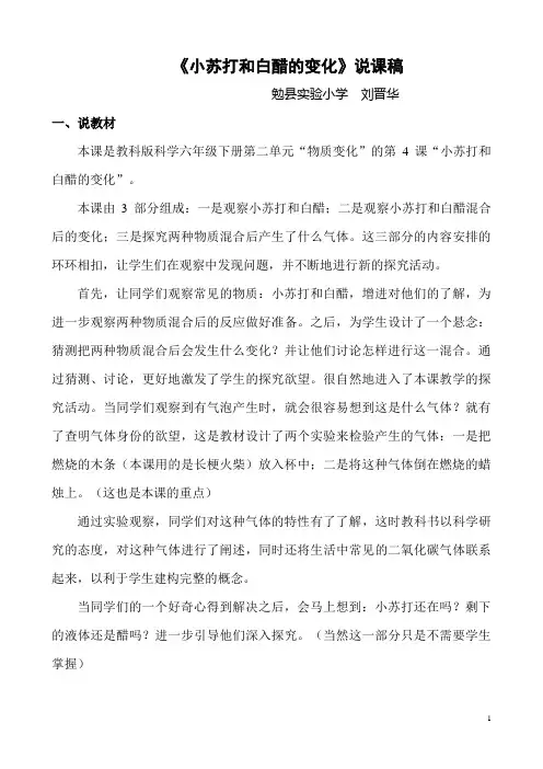 《小苏打和白醋的变化》说课稿 3