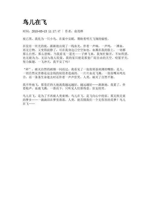 鸟儿在飞
