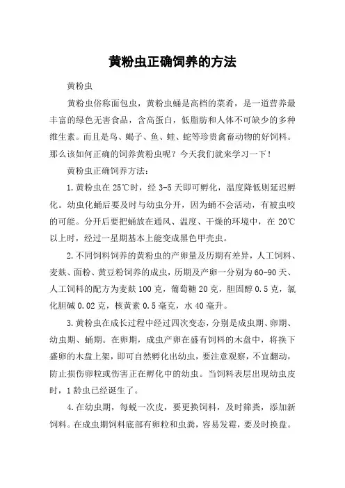 黄粉虫正确饲养的方法
