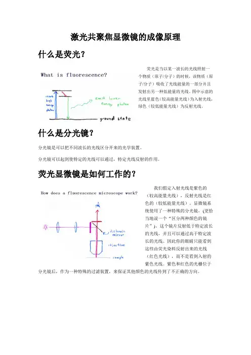 激光共聚焦原理