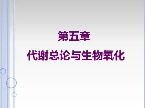 生物化学第五章生物氧化