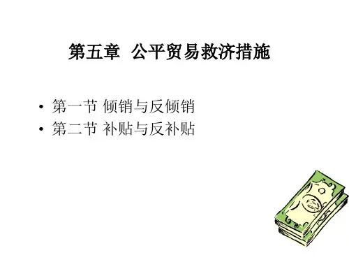 第五章公平贸易救济措施