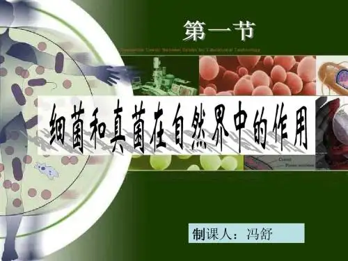 细菌和真菌在自然界中的作用