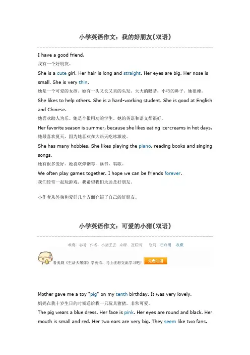 小学英语作文 2