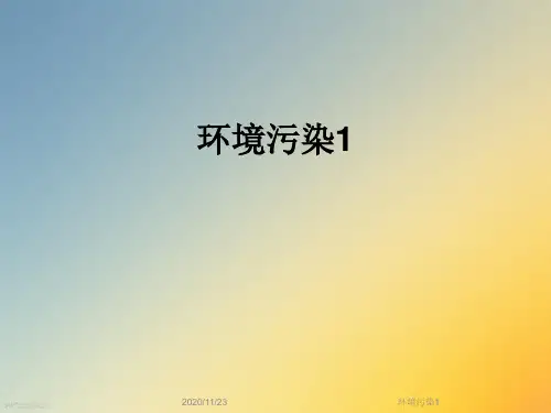 环境污染1