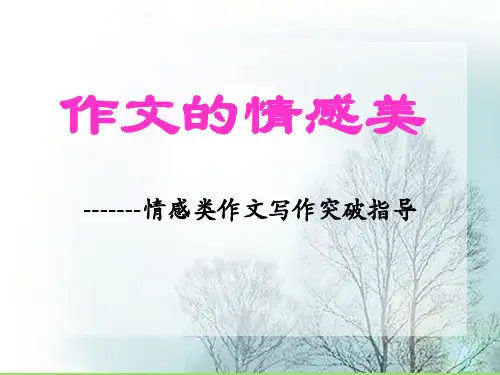 初中作文的情感美——情感类作文写作突破指导ppt优秀作文