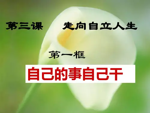 自己的事自己干ppt优秀课件1 人教版