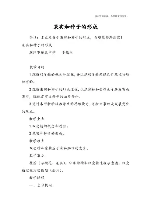 果实和种子的形成