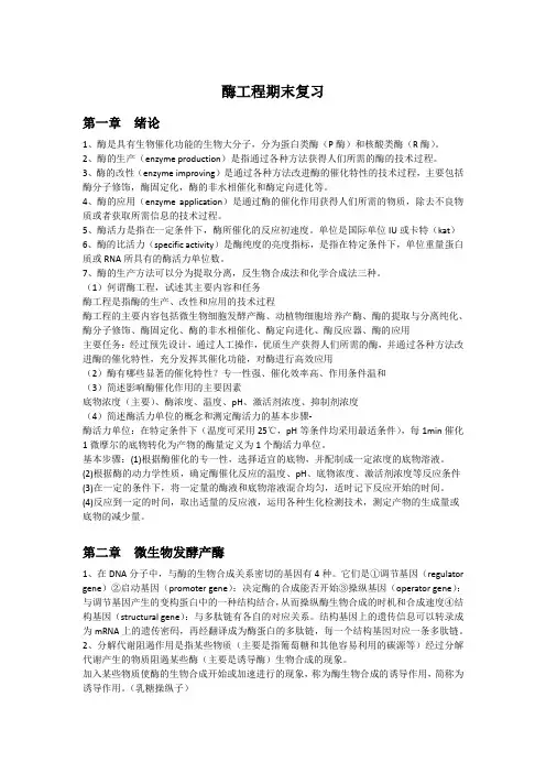 酶工程期末重点