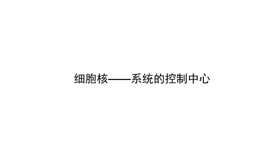 细胞核--系统的控制中心 课件