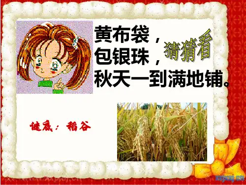 湄公河平原