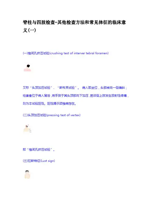 脊柱四肢检查