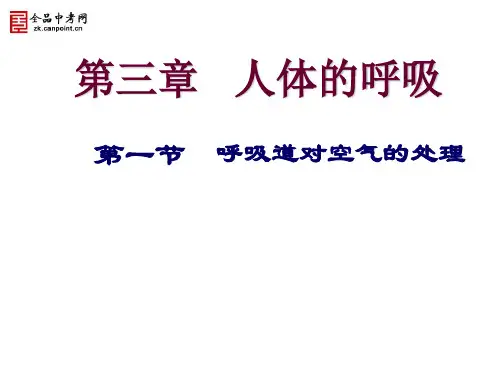 2014呼吸道对空气的处理课件人教新课标版