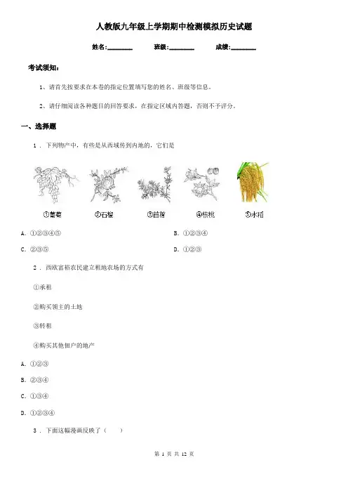 人教版九年级上学期期中检测模拟历史试题