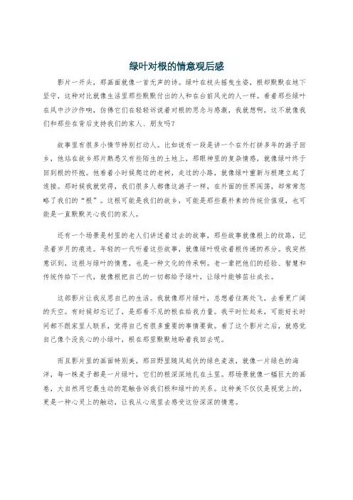 绿叶对根的情意观后感