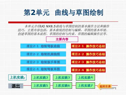 曲线与草图绘制